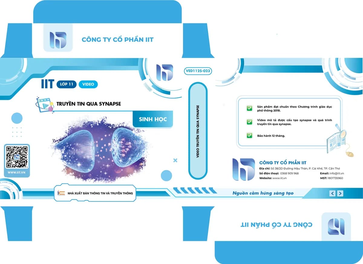 Video Truyền tin qua synapse