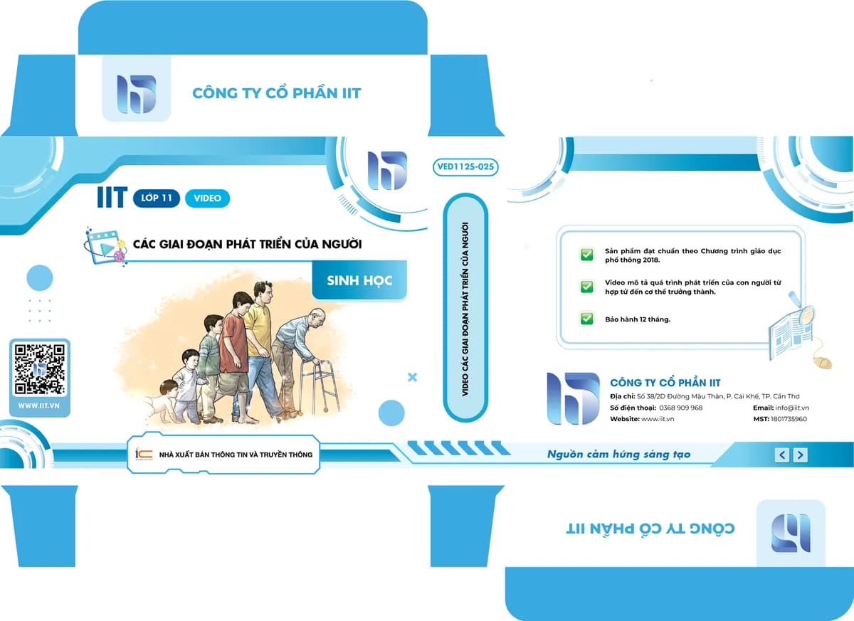 Video Các giai đoạn phát triển của người