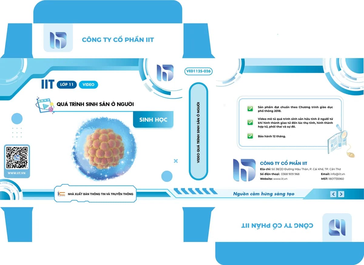 Video Quá trình sinh sản ở người