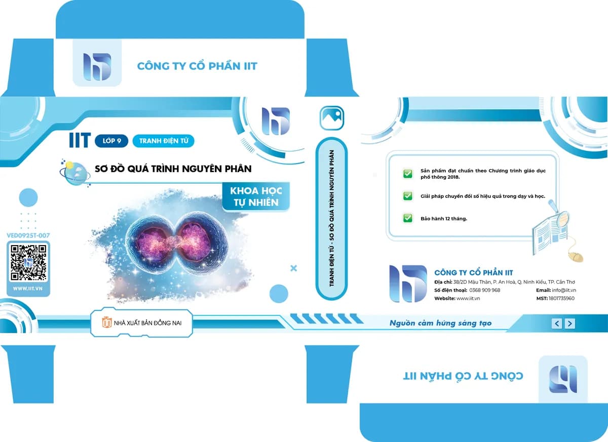 Tranh điện tử - Sơ đồ quá trình nguyên phân