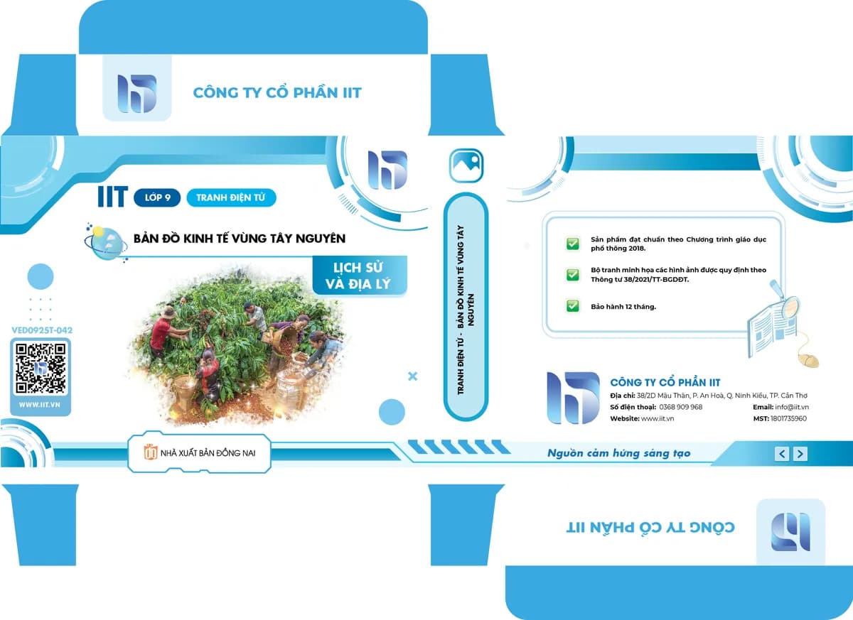 Tranh điện tử - Bản đồ kinh tế vùng Tây Nguyên