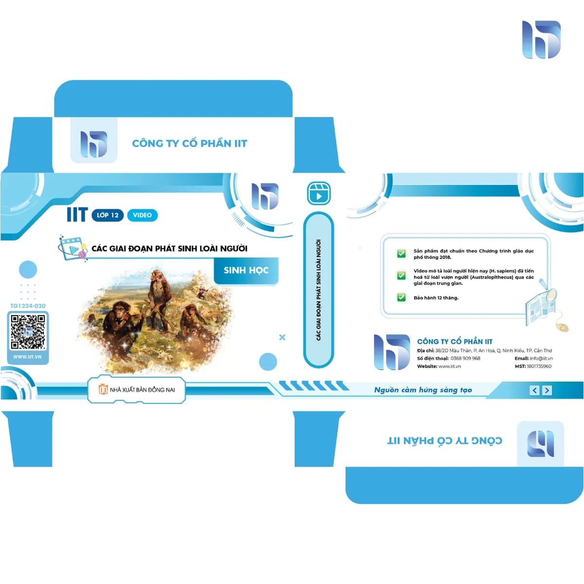 Các giai đoạn phát sinh loài người